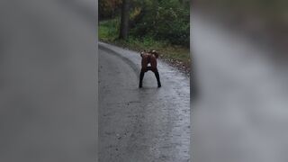 Gargling pee and takin cock on back road - 3 image