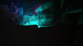 rainbow lightning (P2) - 14 image