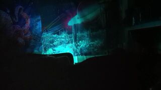 rainbow lightning (P2) - 15 image