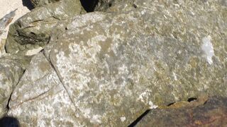 He pulls out his big cock in front of this stranger. How will she react? It is really risky!