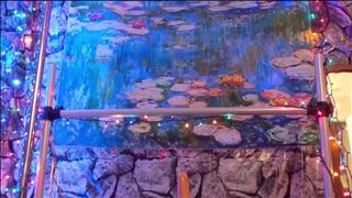 Hotwife Steffi slutty pussy masturbation party - 8 image