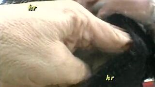 Amateur with wife swap in Milan between nymphomaniac couples