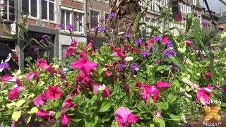 Alice, hot milf, goes wild with two dicks - 1 image