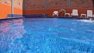 Sorprende MILF Dweybigass & Alevalsex get down and dirty in a wild pool party
