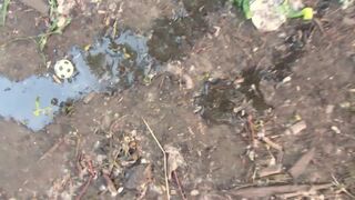 Big Pussy's wet pussy drips while peeing in public - 12 image