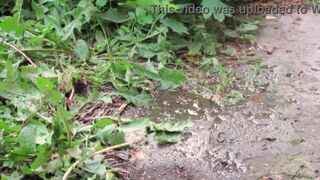 Big Pussy's wet pussy drips while peeing in public - 9 image